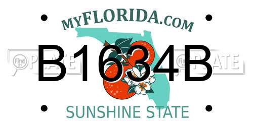 B1634B Florida License Plate