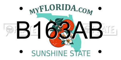 B163AB Florida License Plate
