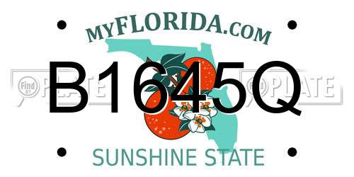 B1645Q Florida License Plate