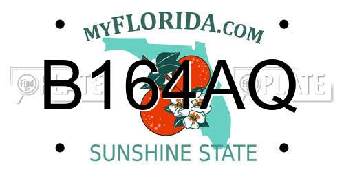 B164AQ Florida License Plate