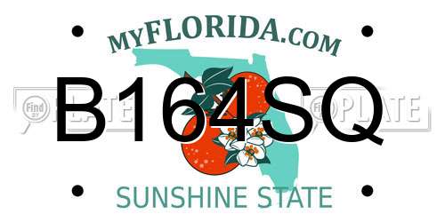 B164SQ Florida License Plate