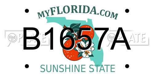 B1657A Florida License Plate