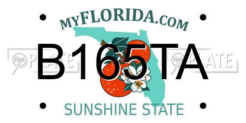 B165TA Florida License Plate
