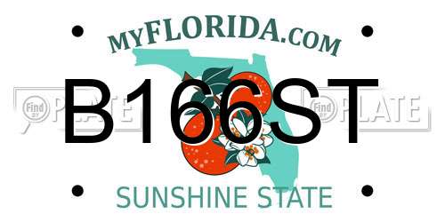 B166ST Florida License Plate