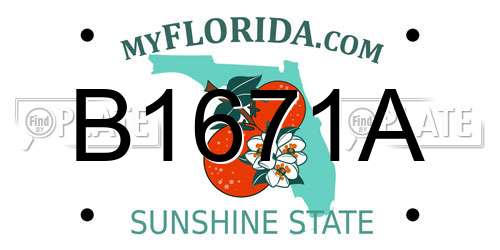 B1671A Florida License Plate