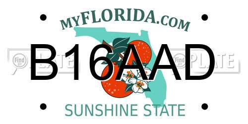 B16AAD Florida License Plate