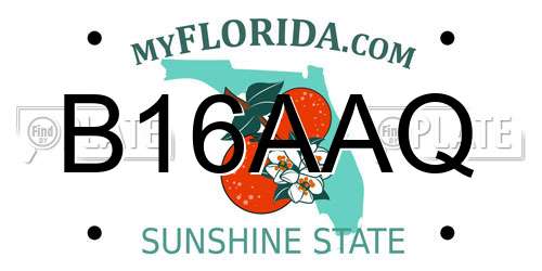 B16AAQ Florida License Plate