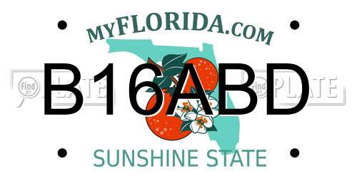B16ABD Florida License Plate