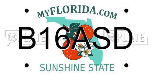 B16ASD Florida License Plate