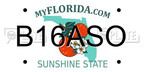 B16ASO Florida License Plate