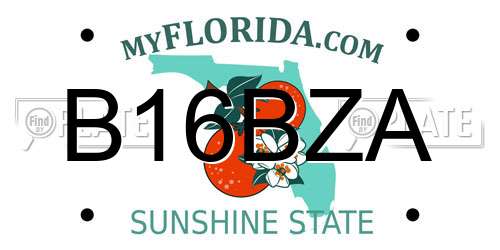 B16BZA Florida License Plate