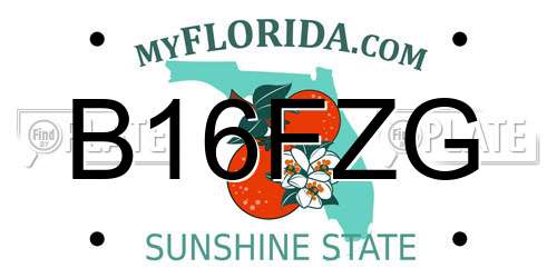 B16FZG Florida License Plate
