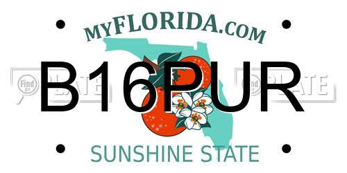 B16PUR Florida License Plate