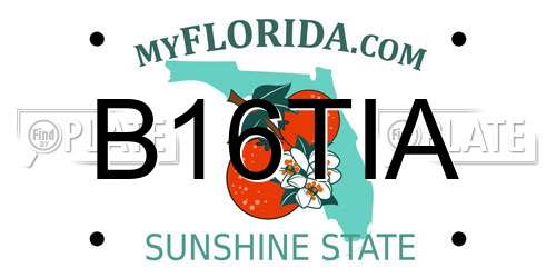 B16TIA Florida License Plate