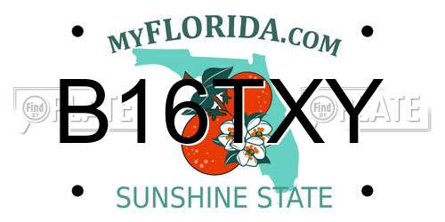 B16TXY Florida License Plate