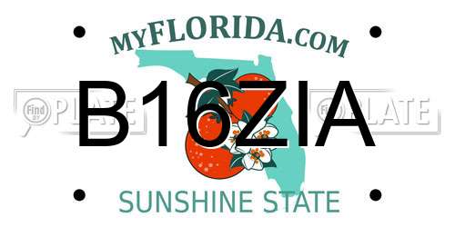B16ZIA Florida License Plate