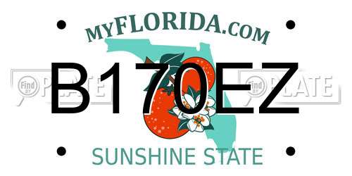 B170EZ Florida License Plate