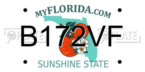 B172VF Florida License Plate