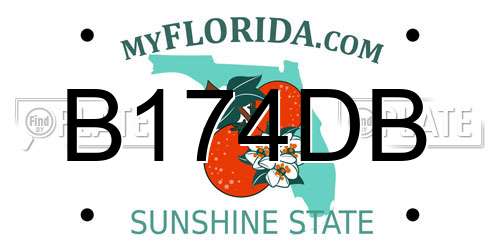 B174DB Florida License Plate