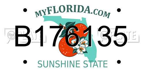 B176135 Florida License Plate