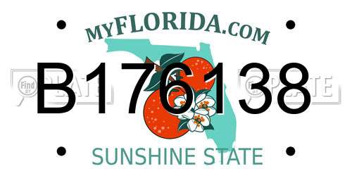 B176138 Florida License Plate