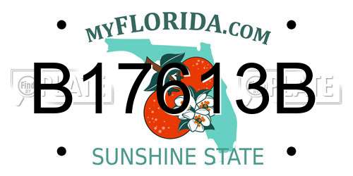 B17613B Florida License Plate