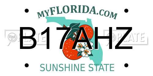 B17AHZ Florida License Plate