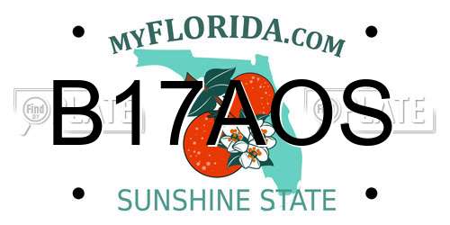 B17AOS Florida License Plate