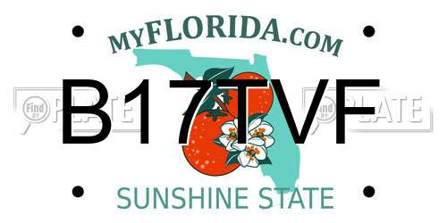 B17TVF Florida License Plate