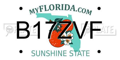 B17ZVF Florida License Plate