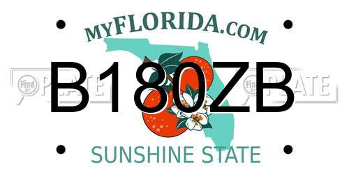 B180ZB Florida License Plate