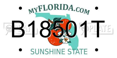 B18501T Florida License Plate