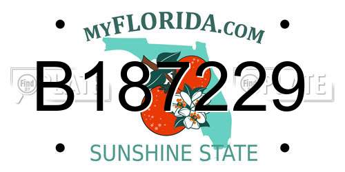 B187229 Florida License Plate