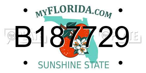 B187729 Florida License Plate