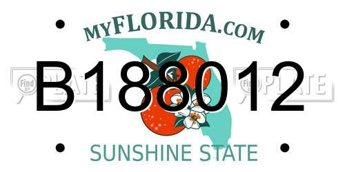 B188012 Florida License Plate