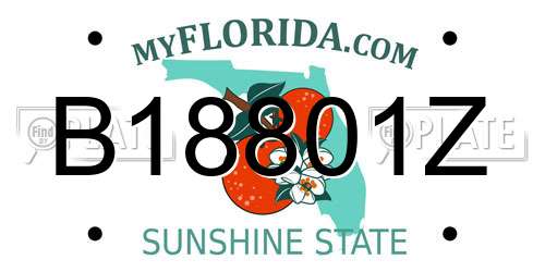 B18801Z Florida License Plate