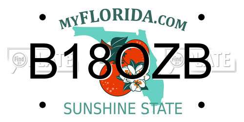 B18OZB Florida License Plate