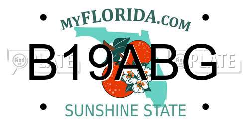 B19ABG Florida License Plate