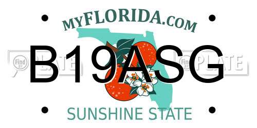 B19ASG Florida License Plate