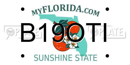 B19OTI Florida License Plate