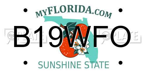 B19WFO Florida License Plate