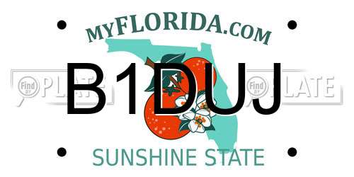 B1DUJ Florida License Plate