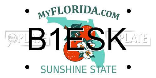 B1ESK Florida License Plate