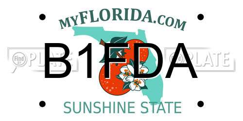 B1FDA Florida License Plate