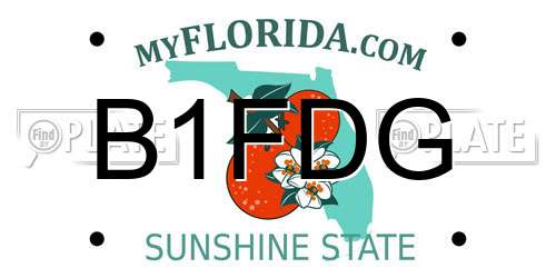 B1FDG Florida License Plate