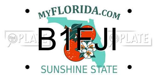 B1FJI Florida License Plate