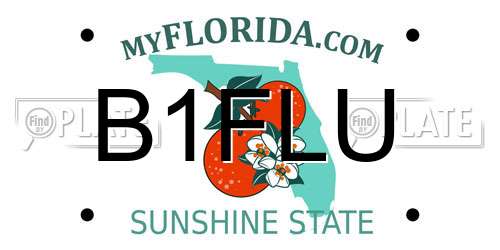 B1FLU Florida License Plate