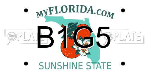 B1G5 Florida License Plate