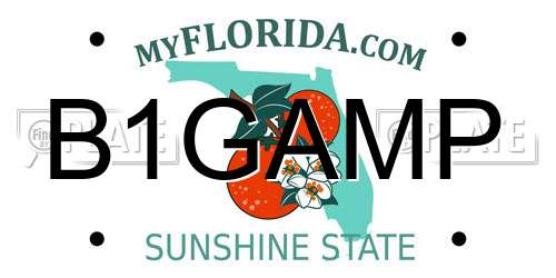 B1GAMP Florida License Plate