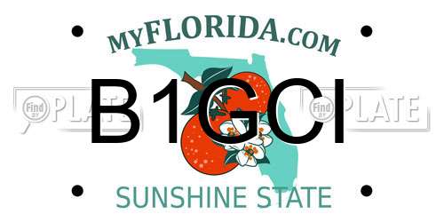 B1GCI Florida License Plate